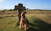 Pebble Bay Cottage - Mackay Tourism 7