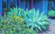 Jerrys Plains NSW Mackay Tourism