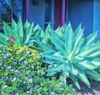 Retreat Homestead - Mackay Tourism