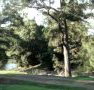 Rustic Caravan Park - Mackay Tourism