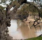 Valley View Cottage Hunter Valley - Mackay Tourism