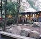 Williams River Holiday Park - Mackay Tourism