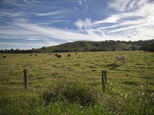 Goolmangar NSW Mackay Tourism