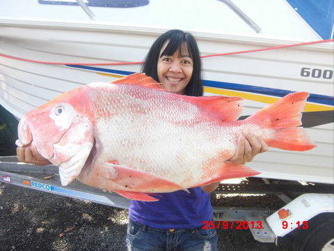Flying Fish Point Tourist Park - Mackay Tourism 6