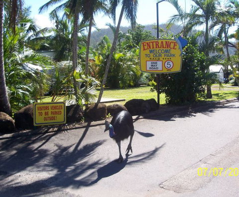 Flying Fish Point Tourist Park - Mackay Tourism 9