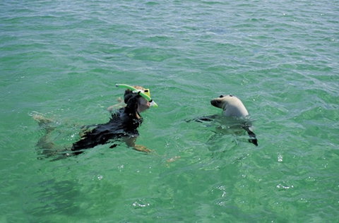 Coodlie Park - Port Kenny - Venus Bay - Mackay Tourism 3