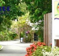 At The Mango Tree - Mackay Tourism