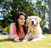 Jacobs Well Tourist Park - Mackay Tourism