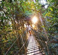 O'Reilly's Rainforest Retreat - Mackay Tourism