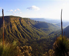 O'Reilly's Rainforest Retreat - Mackay Tourism 3