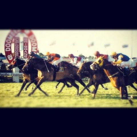 AAA The View - Mackay Tourism 3