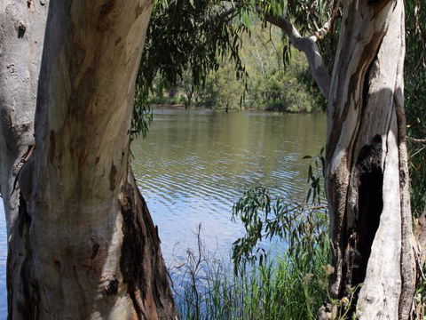 Bumberry Dam - Mackay Tourism 1