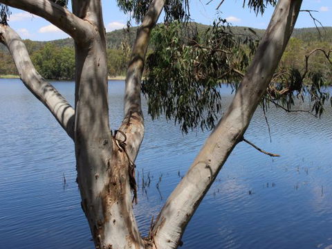 Bumberry Dam - Mackay Tourism 2
