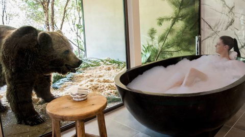 Jamala Wildlife Lodge - Mackay Tourism 0