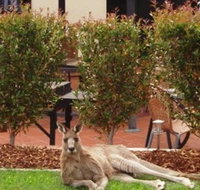 Alpha Canberra Hotel and Apartments - Mackay Tourism