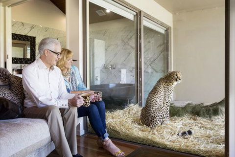 Jamala Wildlife Lodge - Mackay Tourism 3