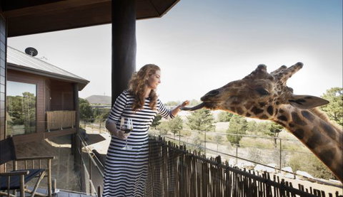 Jamala Wildlife Lodge - Mackay Tourism 8