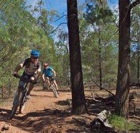 Back Yamma State Forest - Mackay Tourism