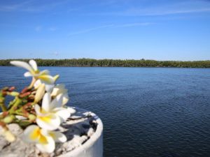 The Fishing Haven Holiday Park - Mackay Tourism 0