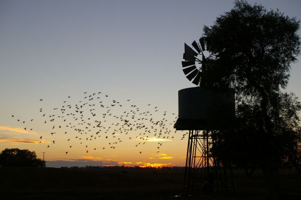 Tooraweenah NSW Mackay Tourism