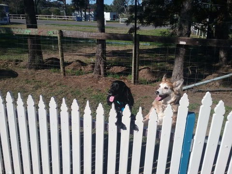 Wine Country Tourist Park - Mackay Tourism 2