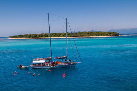 Ocean Free And Ocean Freedom - Cairns Premier Reef And Island Tours - Mackay Tourism 3