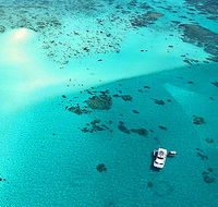 Ocean Free and Ocean Freedom - Cairns Premier Reef and Island Tours - Mackay Tourism