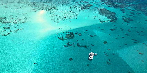 Ocean Free And Ocean Freedom - Cairns Premier Reef And Island Tours - Mackay Tourism 0