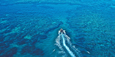 Ocean Free And Ocean Freedom - Cairns Premier Reef And Island Tours - Mackay Tourism 1
