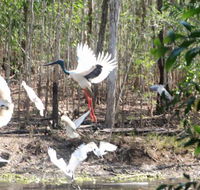 Rakhi Retreat - Mackay Tourism