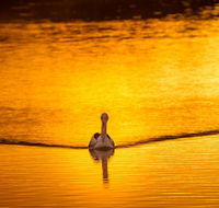River Shack Rentals - Living the Dream - Mackay Tourism