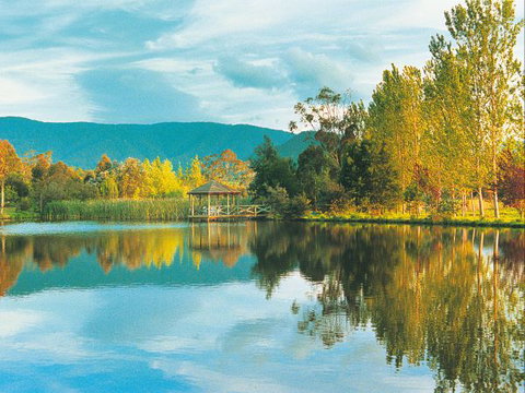 Kingbilli - Mackay Tourism 0