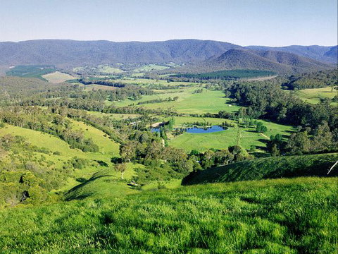 Kingbilli - Mackay Tourism 1