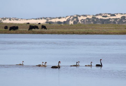 Mundoo Island Station - Mackay Tourism 7