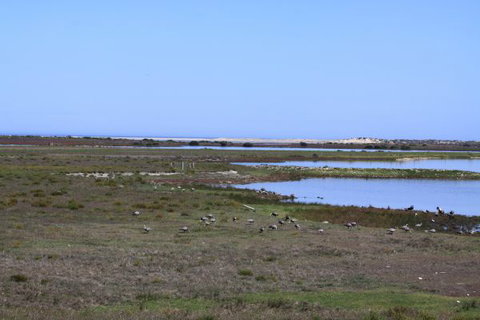 Mundoo Island Station - Mackay Tourism 9