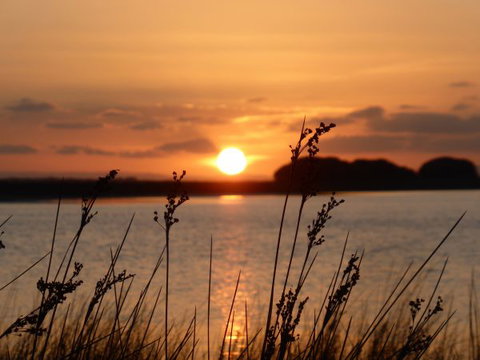 Mundoo Island Station - Mackay Tourism 15