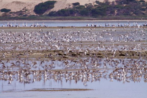 Mundoo Island Station - Mackay Tourism 16