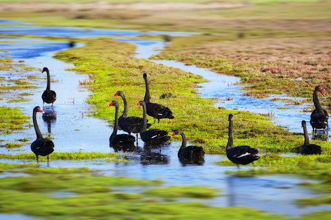 Mundoo Island Station - Mackay Tourism 18
