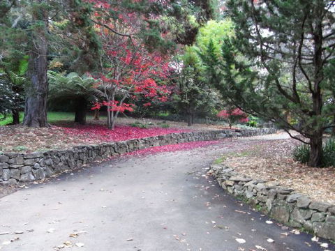 The Jungle Lodge, Blue Mountains Botanic Gardens - Mackay Tourism 5