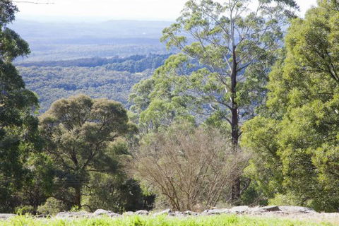 The Jungle Lodge, Blue Mountains Botanic Gardens - Mackay Tourism 6