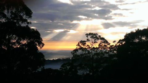 The Jungle Lodge, Blue Mountains Botanic Gardens - Mackay Tourism 8