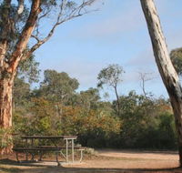 Drummonds Camp at Avon Valley National Park - Mackay Tourism