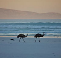 Thomas River Shire Reserve Camp at Cape Arid National Park - Mackay Tourism