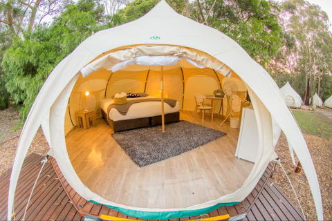 Yarra Valley Park Lane Glamping Belle Tents - Mackay Tourism 8