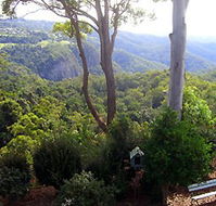 Mt Tamborine Motel - Mackay Tourism