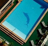 Pacific International Hotel - Mackay Tourism