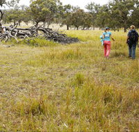 Carnarvon National Park camping - Mackay Tourism