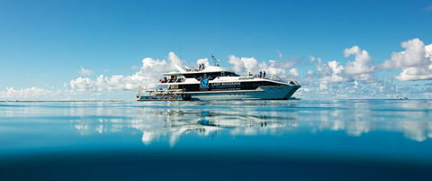 Bundaberg To Lady Musgrave Island Day Cruise - Mackay Tourism 0