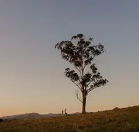 Faulls Ridge Winery - Mackay Tourism