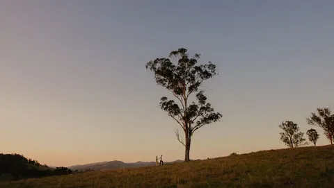Faulls Ridge Winery - Mackay Tourism 0